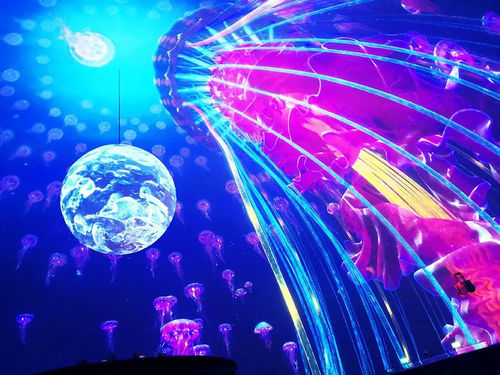 Últimas notícias da empresa sobre Projector FLYIN 20000 lumen equipado com lente de olho de peixe para criar uma experiência visual de tela esférica chocante