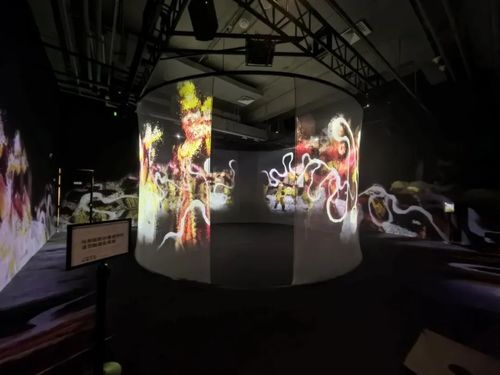 Últimas notícias da empresa sobre Projector FLYIN: Reconstruindo o tempo e o espaço com luz e sombra, interpretando o épico da vida de "um olhar para o mundo"